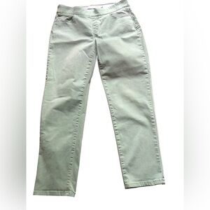 Soft Surroundings‎ large straight leg Mint green denim